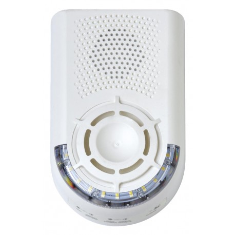 AAS Sonora Manuel Flash – Réf. ABAM0225